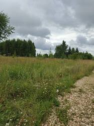 IMG_20260727_092601_717.jpg