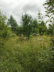 IMG_20260727_100508_769.jpg