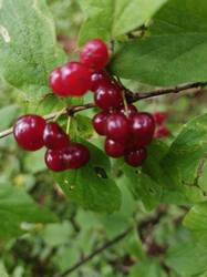 IMG_20260727_105725_004.jpg