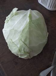 IMG_20260727_190717.jpg