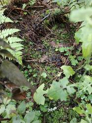 IMG_20260730_121023_594.jpg