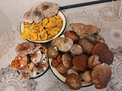 IMG_20260730_155024_516.jpg