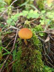 IMG_20260731_080752_182.thumb.jpg.616a0bb4a3de444c1202dbb4a032c3f5.jpg