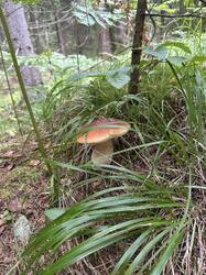 IMG_3112.JPG
