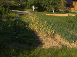 IMG_3302.thumb.jpg.cbc3c9bc4971a4c5a95b37182ec93694.jpg