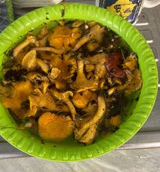 IMG_3327.jpeg