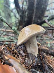 IMG_4056.jpeg