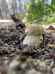 IMG_4077.jpeg