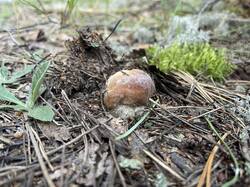 IMG_4081.jpeg