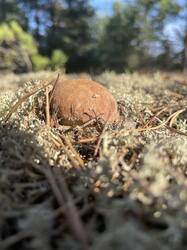 IMG_4096.jpeg
