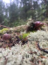 IMG_4157.jpeg