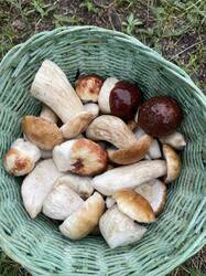 IMG_4163.jpeg