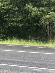 IMG_4832.jpeg