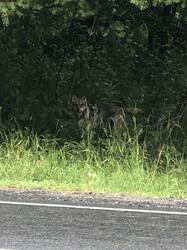 IMG_4833.jpeg