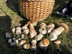 IMG_5759.thumb.JPEG.7f4a7e05c61a6c49e122b19c16756265.JPEG