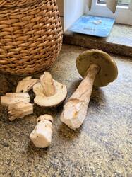 IMG_5789.thumb.JPEG.34a82f0b3bc443f5a4221dd9e7aa0af2.JPEG