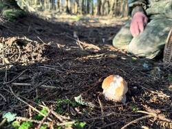 IMG_5802.thumb.JPEG.c38461c1f42a108b0862329cbeff5346.JPEG