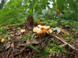 P1010018.JPG