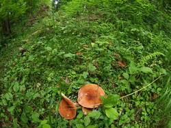 P1010022.JPG