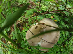 P1010026.JPG
