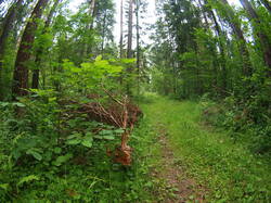 P1010030.JPG
