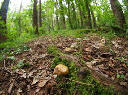 P1010034.JPG