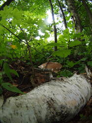 P1010076.JPG
