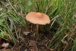 PANA9037.thumb.JPG.97529dfe99eafc69d04ae6a25e3bfd38.JPG
