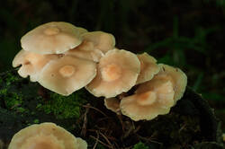 _157.thumb.jpg.411a67bda6be6b93aebca281192d685b.jpg