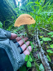 image-01-07-26-08-15-22.jpg