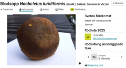 image.thumb.png.bc5b6bdb80c2f2768c6444e211156e69.png