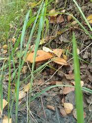 IMG_20260821_072524[1].jpg