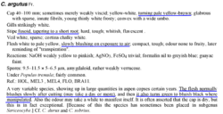 1589192190_2026-08-0113_24_40-CinS_text_ed17.pdf-AdobeAcrobatReader(64-bit).thumb.png.7ff1b1b762533fee1bbb3bee991f6dd1.png