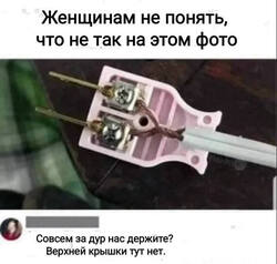 1762117198.jpg