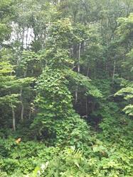 20260805_162425.jpg