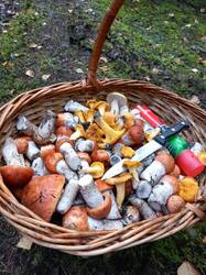 20260807_073811.jpg
