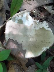 20260810_134641.jpg