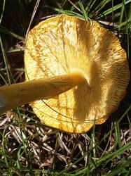 20260810_162449.jpg