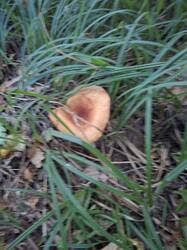 20260815_062603.jpg