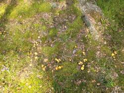 20260818_152218.jpg