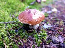 20260820_062841.jpg