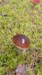 20260824_083904.thumb.jpg.6c4765a088c1d15bd08a26eeae49ecce.jpg