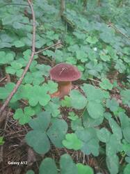 20260825_070428.jpg