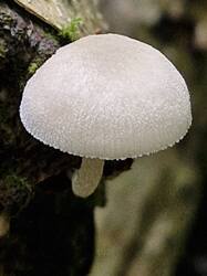 20260826_121458.thumb.jpg.b6e37287c742ce95f55de81ebe1b5506.jpg