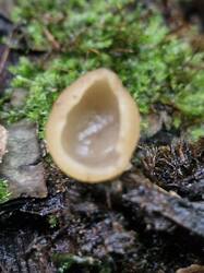 20260826_142625.thumb.jpg.e2cb9721fa784dc18df3a126504bb03b.jpg