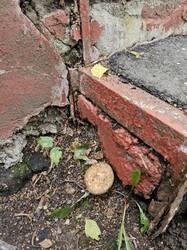 20260826_151855.thumb.jpg.267b2294ff35f0404df2819da80fcde7.jpg