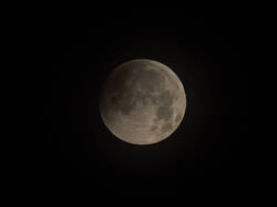 20260828-M3JR4490-2.thumb.jpg.0307d901c6bf39ff28a63eaad8a5fcf6.jpg