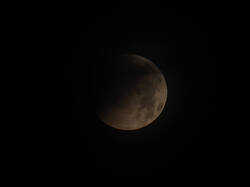 20260828-M3JR4566.thumb.jpg.b6cd836180a29872d3b32c0fda17d8fe.jpg