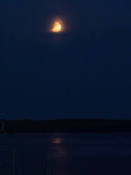 20260828-M3JR4596.thumb.jpg.05bd6385622fac9cea3eccd816b061f2.jpg