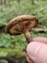 20260829_083044.thumb.jpg.e27e2dfe90da567e0fe8c31618c0a48d.jpg